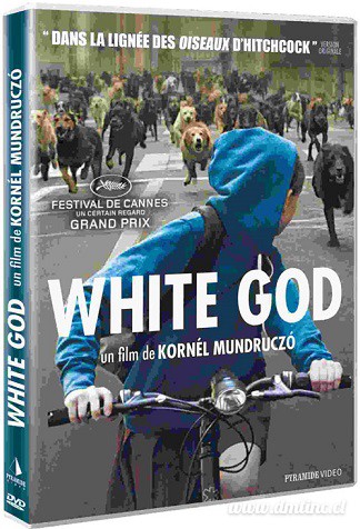 White-God-DVDf6824.jpg