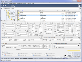 Portable Bulk Rename Utilityle