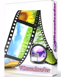 Portable VDownloader