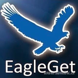 Portable EagleGet
