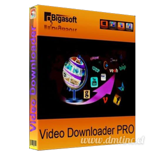Portable Bigasoft Video Downloader Pro