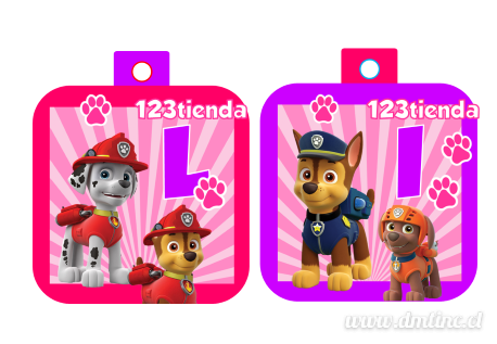 PawPatrolNena1713169.png