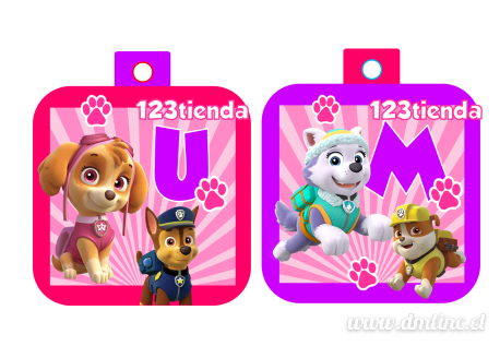 PawPatrolNena19a8f85.png