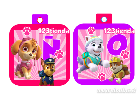 PawPatrolNena2272d98.png