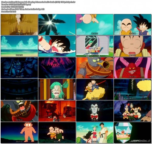 02DragonBall-SleepingPrincessinDevilsCastle19871080p.Molpol.mkvccbe3.jpg