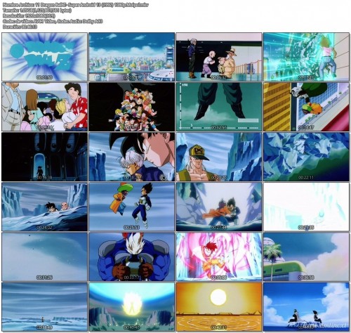 11DragonBallZ-SuperAndroid1319921080p.Molpol.mkv575f9.jpg