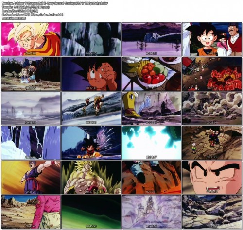 14DragonBallZ-BrolySecondComing19941080p.Molpol.mkv7b811.jpg