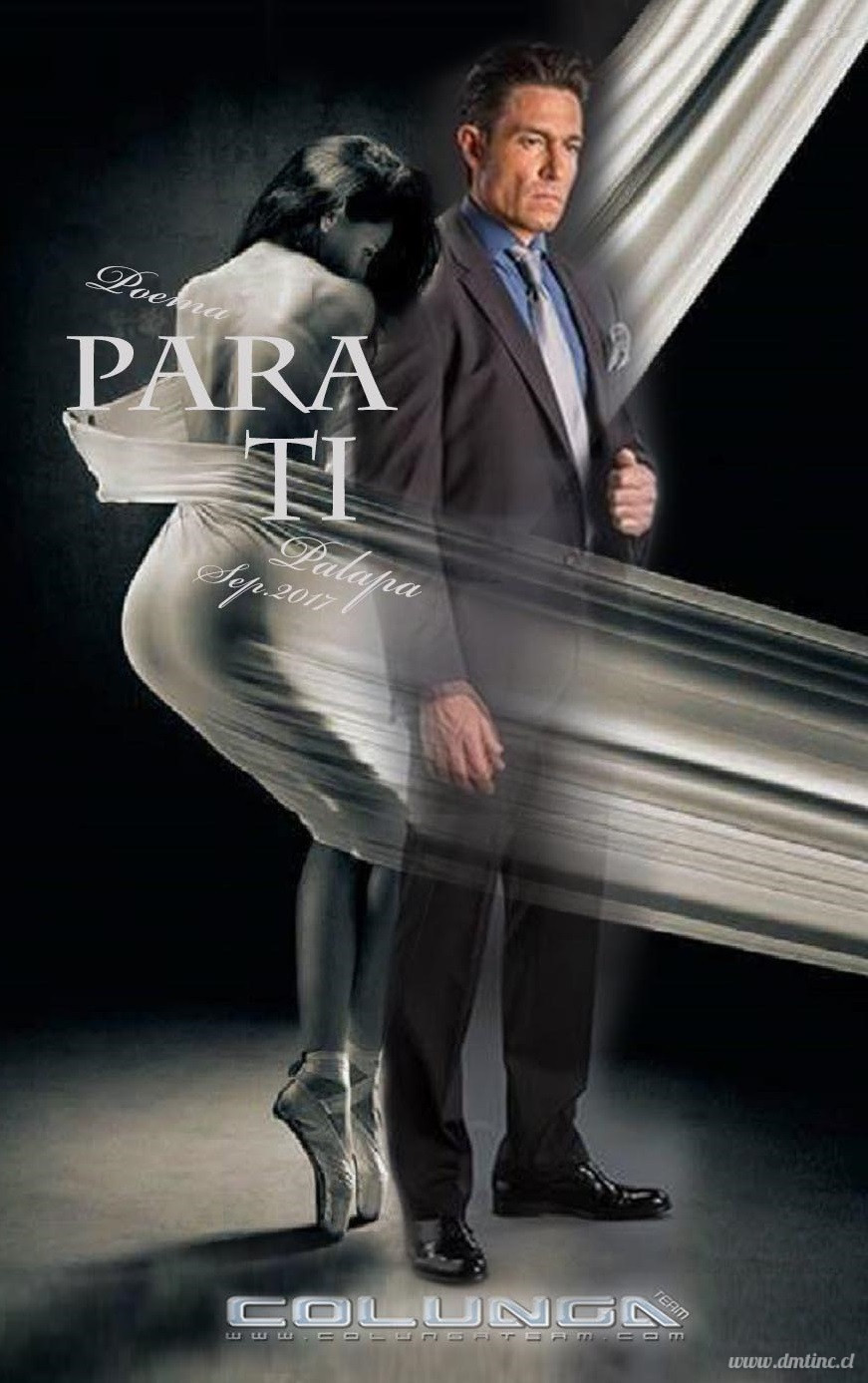 PARATI2017BANNER73711.jpg