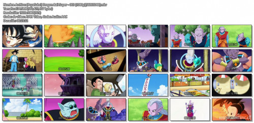 PuyaSubsDragonBallSuper-0031080p56E65D88.mkv2b489.jpg