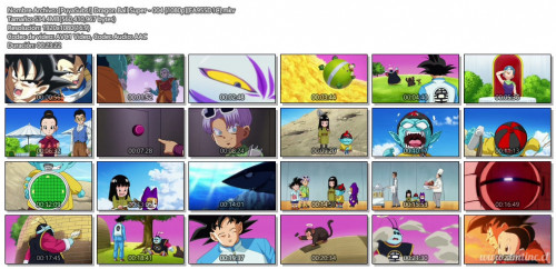 PuyaSubsDragonBallSuper-0041080pEA955D1C.mkv5ebd1.jpg