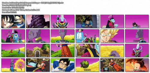 PuyaSubsDragonBallSuper-0051080pCC1D2B41.mkv51e4f.jpg