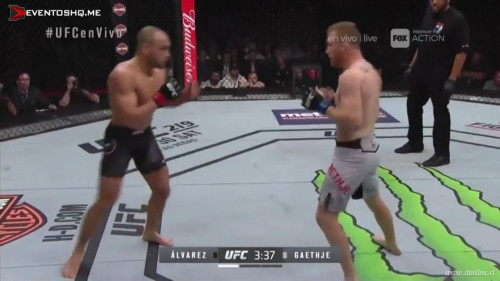 UFC.218.Holloway.vs.Aldo.2.Main.Card.HDTV.x264.mp4_0030664499bcb651d09673065.jpg
