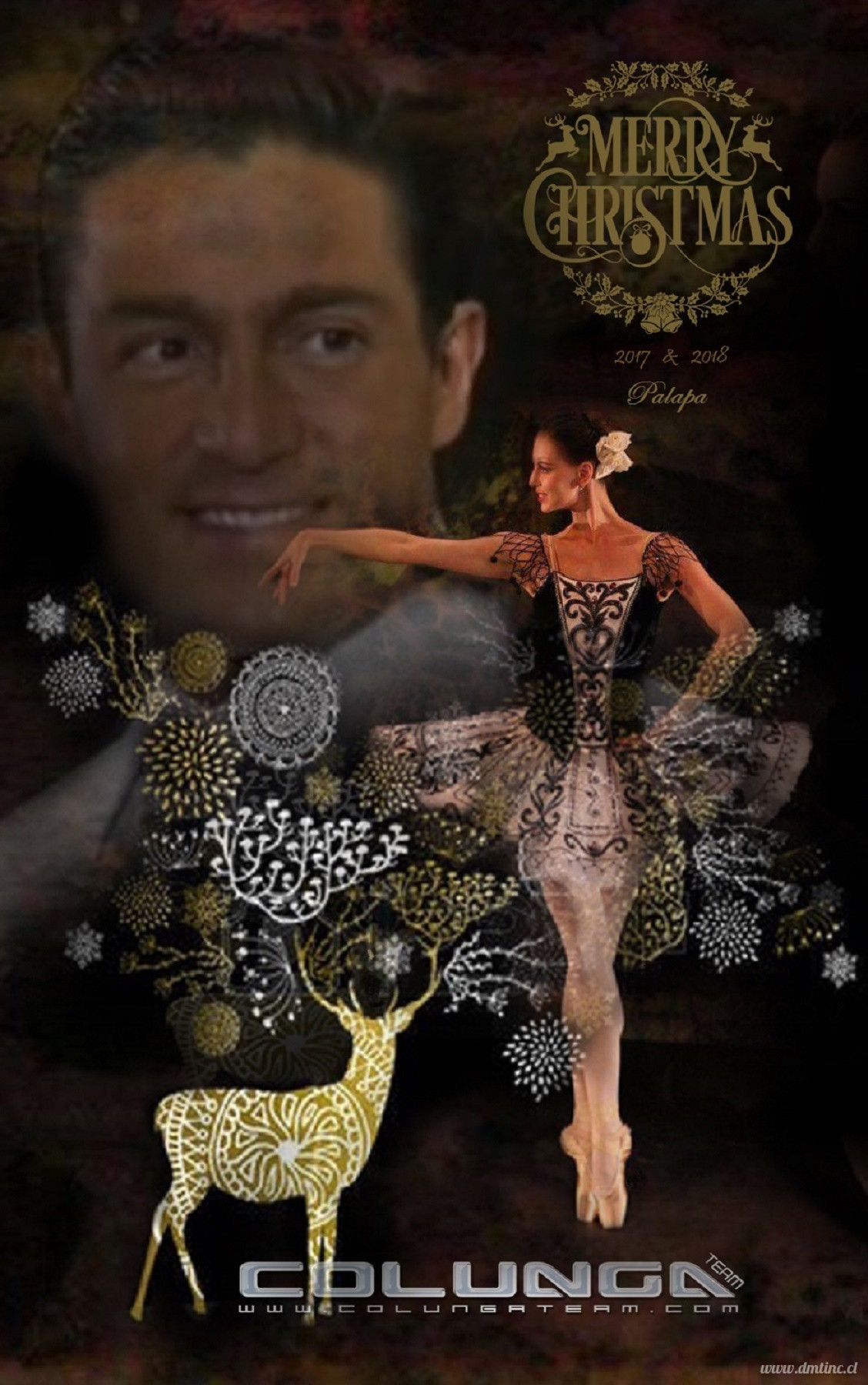 2018-BALLETBANNER-NAVIDAD36e31e0f14079f86.jpg