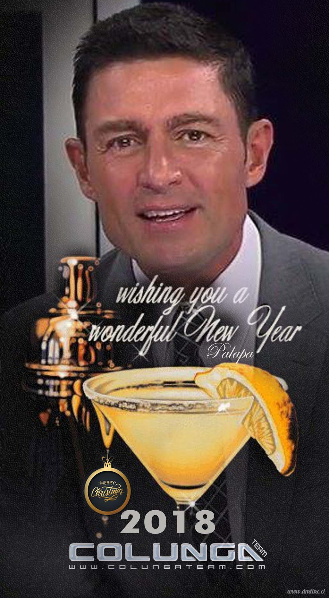 2018-WISHING-A-WONDERFUL-NEW-YEAR9b4159d92ce3a66e.jpg