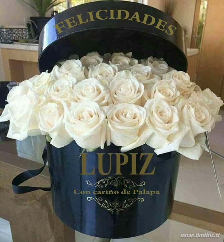 FELICIDADES-LUPIZf58c58dce026f00d.jpg