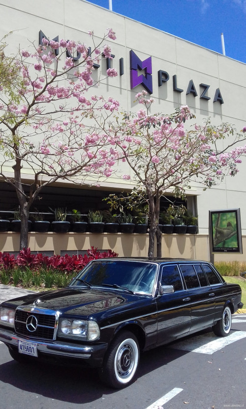 Così Multiplaza Escazú Autopista Próspero Fernández COSTA RICA LIMOUSINE