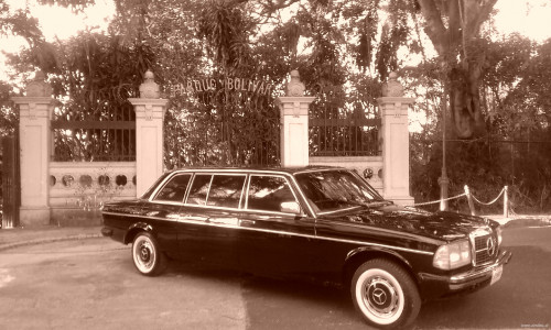 Parque-Zoologico-Nacional-Simon-Bolivar-COSTA-RICA-LIMOUSINE3b1e444243e4ac50.jpg