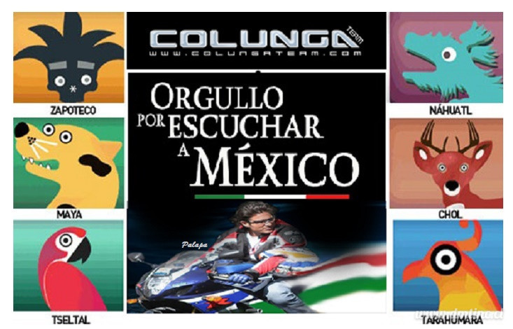 idipmas-mexicanos363e68b8e48605db.jpg