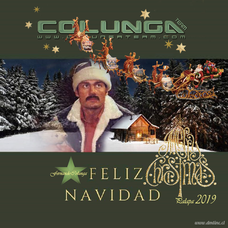 FELIZ-NAVIDAD-2019-greena6fcac24bfe8d29d.jpg
