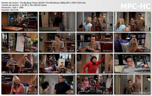 The.Big.Bang.Theory.S01E01.The.Pilot.Bluray.1080p.DD5.1.HEVC-3010.mkv_thumbsfab9f17574b8b79e.jpg
