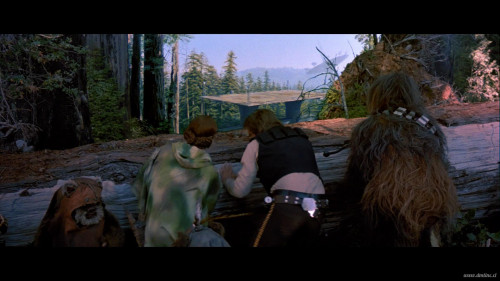 cap3af20335b4f23a606.jpg