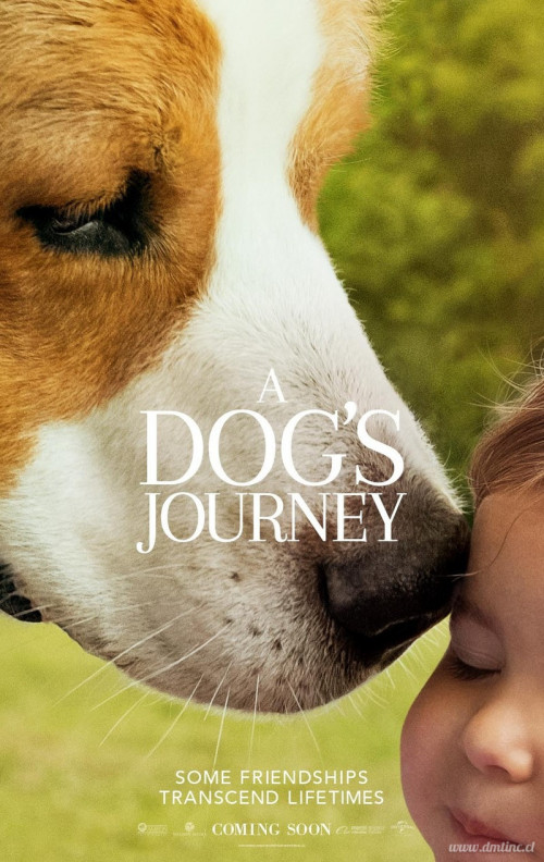 A-Dogs-Journey-2019-movie-poster1e45690608521511.jpg