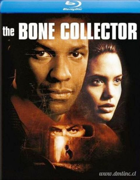 ccb861f12f52a42e52b7eece4e033bb2--blu-rays-bones3fbd13b6559667bc.jpg