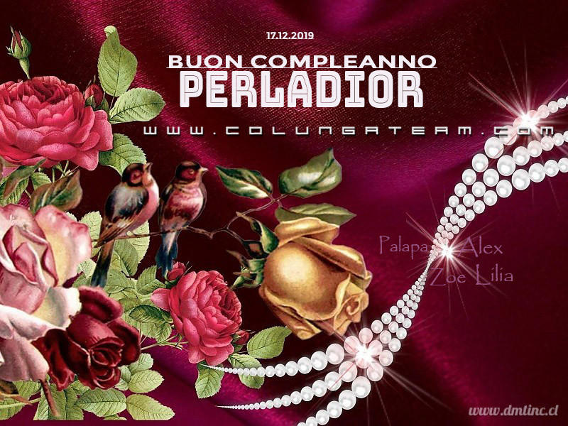 N1 2019 PERLA AUGURI