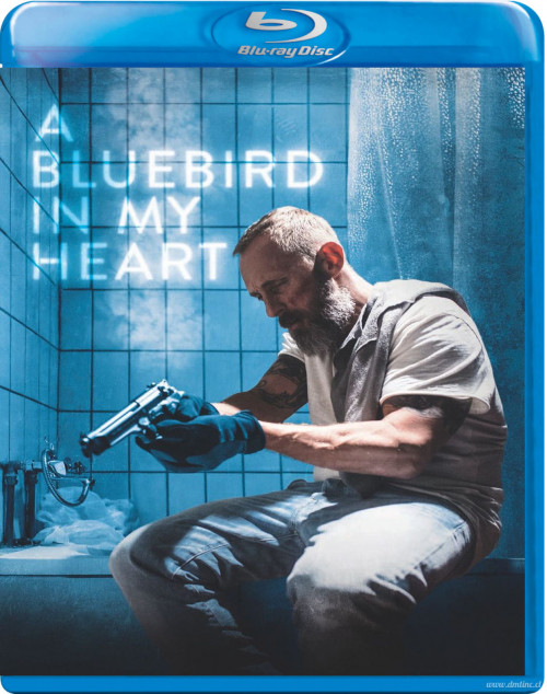 A-Bluebird-in-My-Heart-cover9d328ec2cca89384.jpg