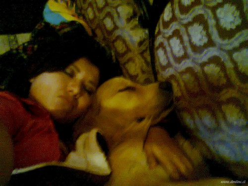 IMG-20141108-WA000630abe7203bc2a01f.jpg