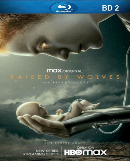 RAISED BY WOLF BD2