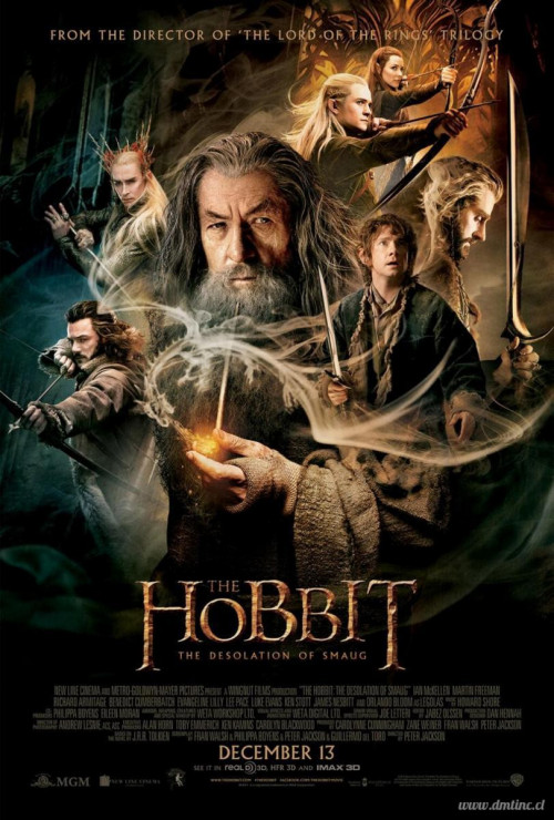 the_hobbit_the_desolation_of_smaug-498845622-largeaee0ffa5be057b37.jpg