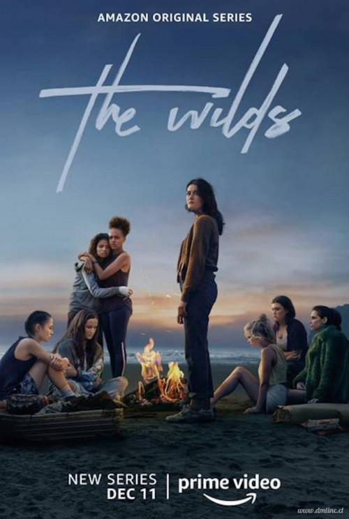 the wilds tv series 559302918 large