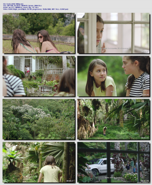 Verde.2018.1080p60f0810ea51f2b50.png