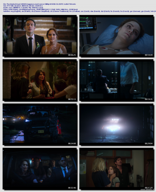 The.Marked.Heart.S01E01.Happiness.Isnt.Forever.1080p.NF.WEB-DL.DDP5.1.x264-T4H0e6884e3352c0483.png