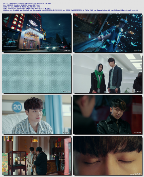 .The.Golden.Eyes.E01.1080p.WEB-DL.H265.AAC-FLTTH86719189b682a027.png