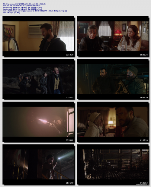 Dangerous.2021.1080p.Web-DL.EAC3.6ch.h264e84b75fe906a42bd.png