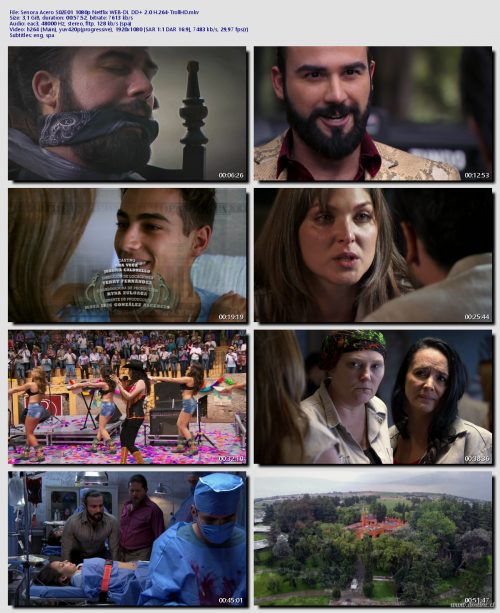 Senora-Acero-S02E01-1080p-Netflix-WEB-DL-DD-2.0-H.264-TrollHD8604ad337cb90294.png