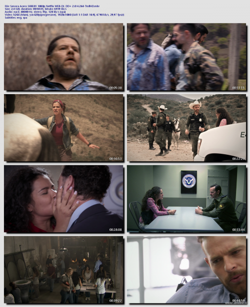 Senora-Acero-S03E01-1080p-Netflix-WEB-DL-DD-2.0-H.264-TrollHD0019c6dd9daec47b.png
