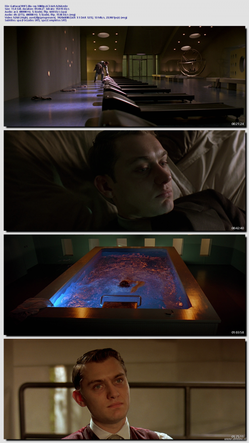 Gattaca1997.Blu-ray.1080p.AC3.6ch.h26414b034bd9e9048d4.png