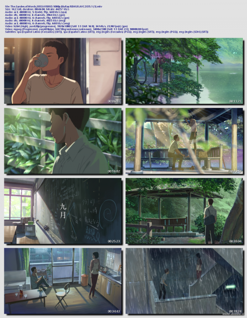 The.Garden.of.Words.2013.HYBRID.1080p.BluRay.REMUX.AVC.DD5.1-13766f4dae1183dbd.png