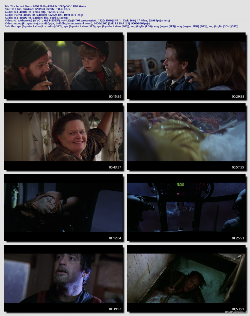 The.Perfect.Storm.2000.BluRay.REMUX.1080p.VC-1.DD2.05dffc75a7e233f71.png