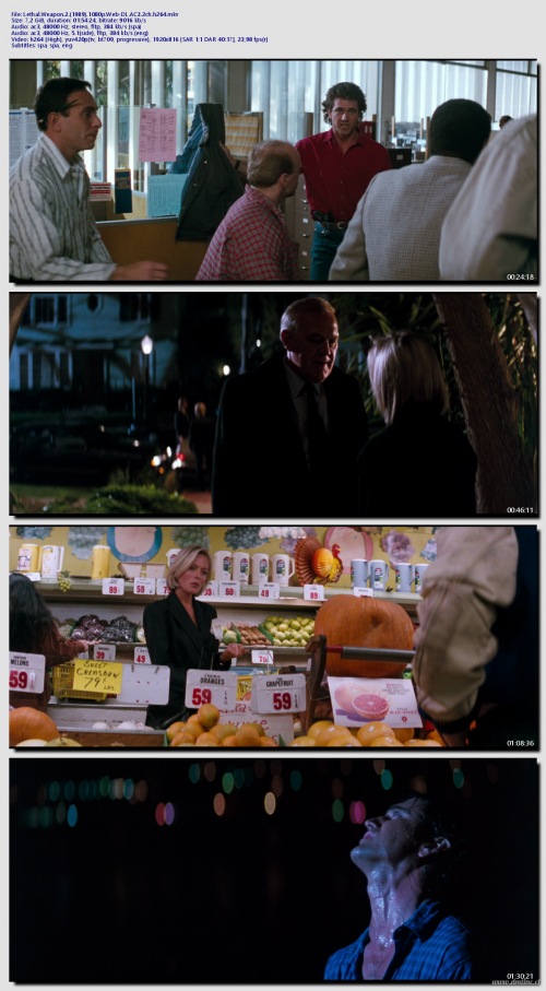 Lethal.Weapon.2.1989.1080p.Web-DL.AC3.2ch.h264b3dede22d581fd7c.png