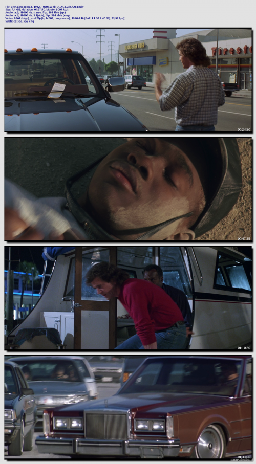 Lethal.Weapon.3.1992.1080p.Web-DL.AC3.2ch.h264c0839817c1d9f535.png