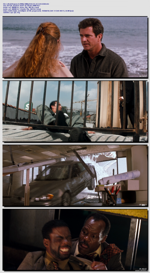 Lethal.Weapon.4.1998.1080p.Web-DL.AC3.2ch.h264333aec1d9fdaa77a.png