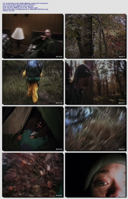 The.Blair.Witch.Project.1999.1080p.Blu-ray.BDrip.DTS.2ch.h264bf6d5b509383daa5.png