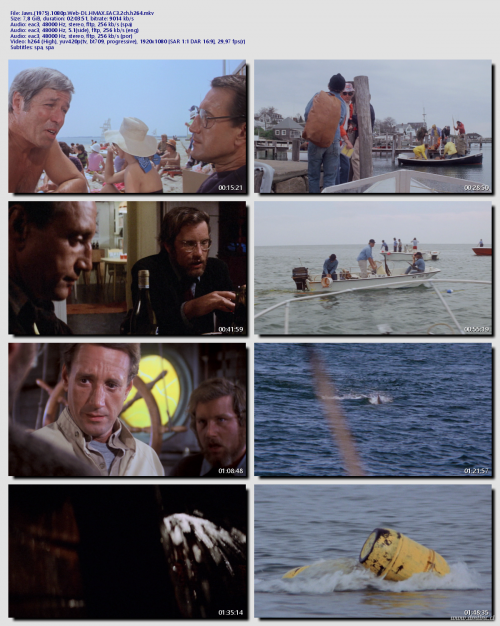 Jaws.1975.1080p.Web-DL.HMAX.EAC3.2ch.h264d82a076bf39b2ddf.png