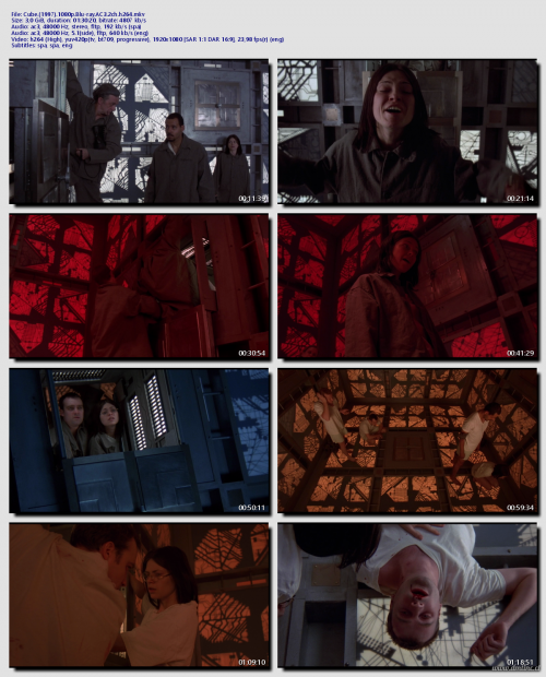 Cube.1997.1080p.Blu-ray.AC3.2ch.h26454bfa5fe5ad7c010.png