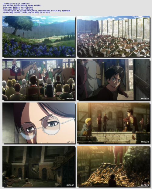 Shingeki-no-Kyojin-S01E0190605cbaf36342ad.png