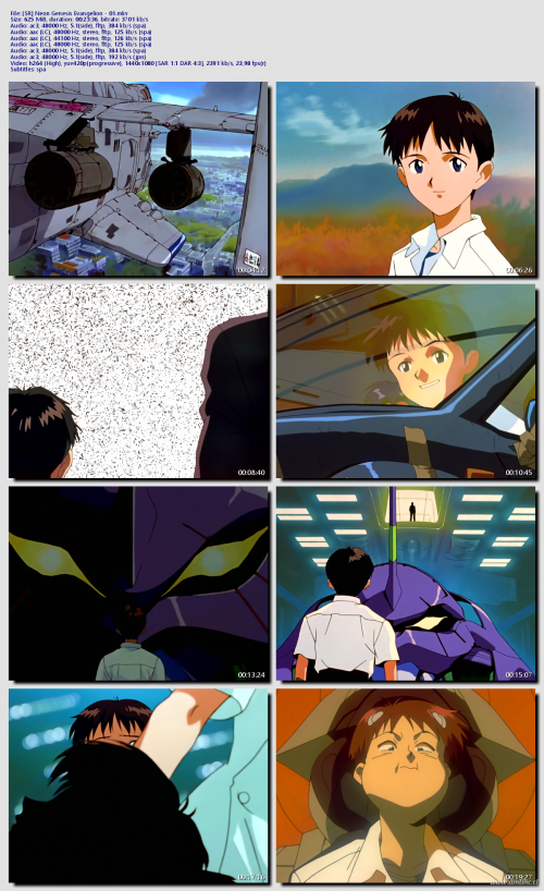 SR-Neon-Genesis-Evangelion---018e31aa84fadba547.png